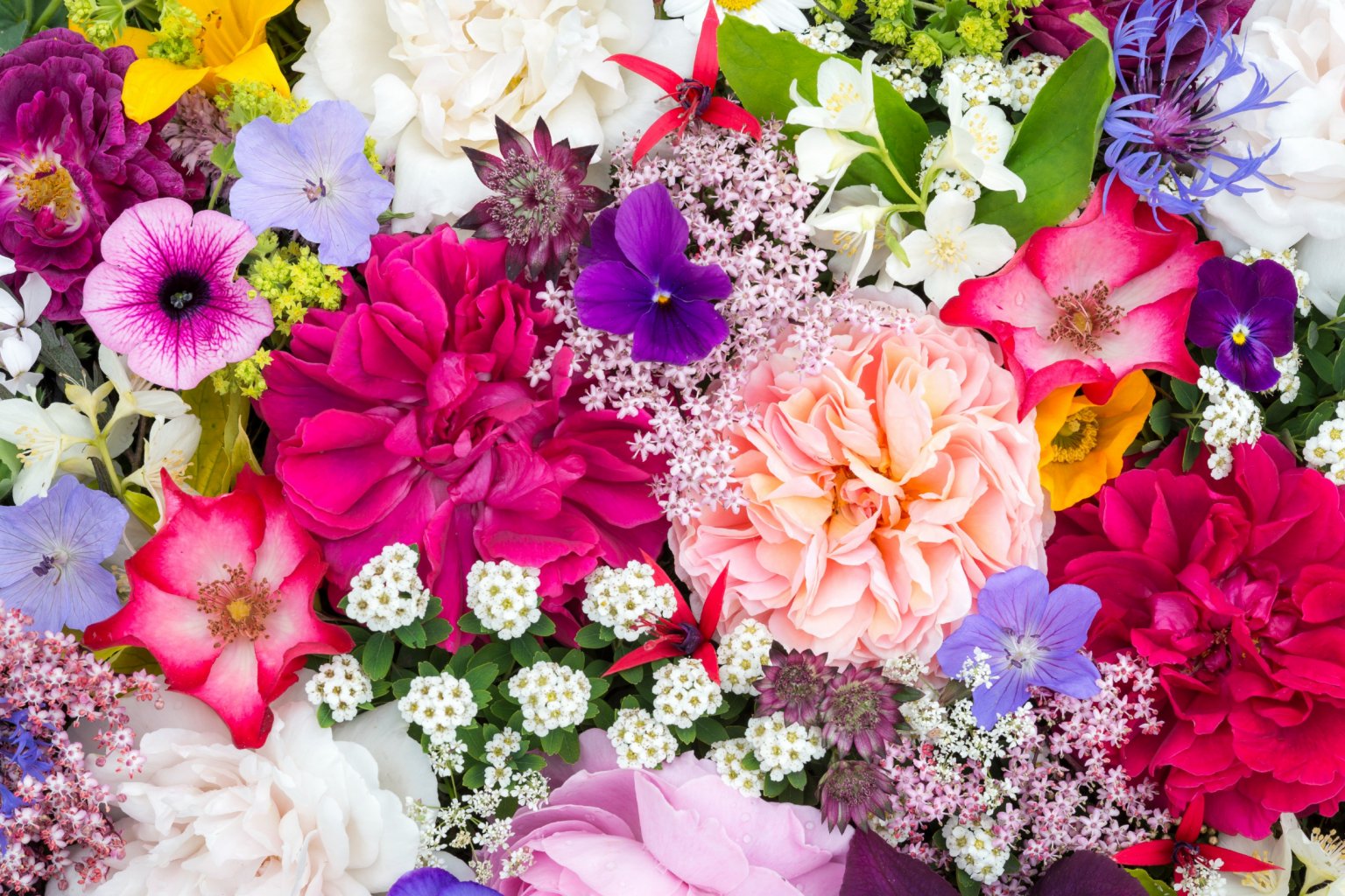 symbolique-fleur-de-naissance.jpg